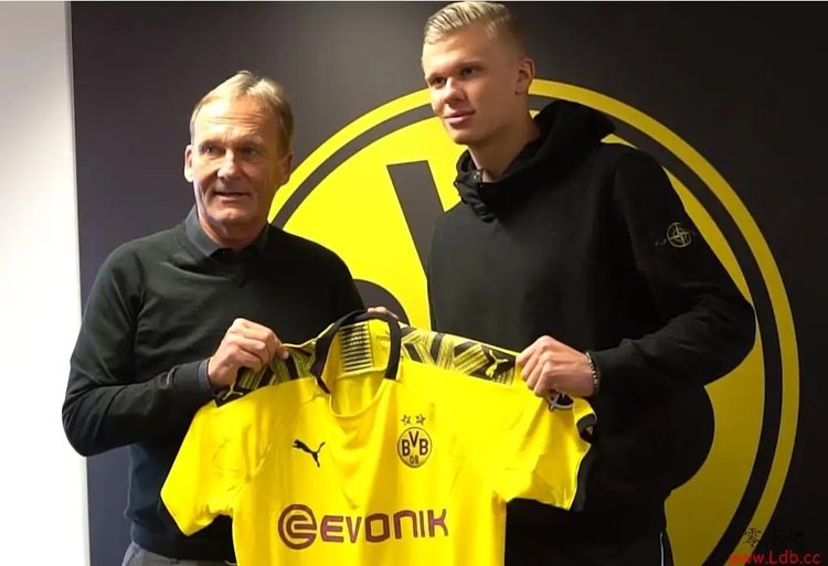 玩家心理 玩家心理